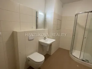 Pronájem bytu 2+kk, České Budějovice - České Budějovice 2, Volejbalistů, 46 m2