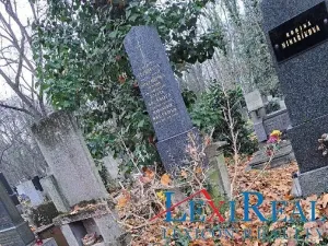 Prodej - jiné, Praha - Žižkov, Vinohradská, 3 m2