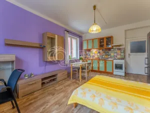 Prodej bytu 2+kk, Praha - Žižkov, Biskupcova, 46 m2