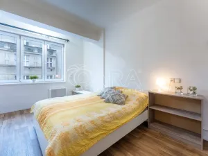 Prodej bytu 2+kk, Praha - Žižkov, Biskupcova, 46 m2