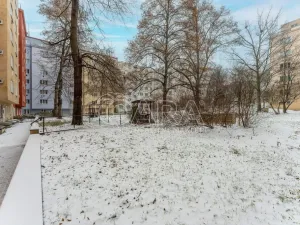 Prodej bytu 2+kk, Praha - Žižkov, Biskupcova, 46 m2