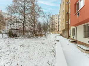 Prodej bytu 2+kk, Praha - Žižkov, Biskupcova, 46 m2