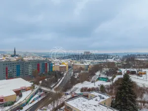 Prodej bytu 2+kk, Praha - Žižkov, Biskupcova, 46 m2