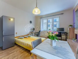 Prodej bytu 2+kk, Praha - Žižkov, Biskupcova, 47 m2