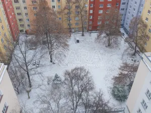 Prodej bytu 2+kk, Praha - Žižkov, Biskupcova, 47 m2