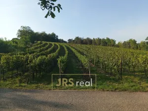 Prodej pozemku, Mutěnice, 3399 m2