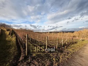 Prodej pozemku, Mutěnice, 3399 m2