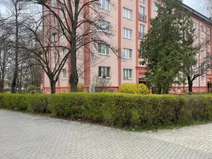 Pronájem bytu 2+1, Prostějov, Dvořákova, 68 m2