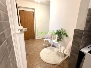 Pronájem bytu 2+1, Solenice, 50 m2