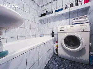 Prodej bytu 2+1, Plzeň, Na Dlouhých, 61 m2