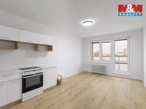 Pronájem bytu 1+kk, Ostrava - Výškovice, Lumírova, 27 m2