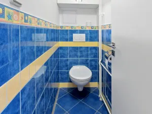 Pronájem bytu 2+1, Brno - Žabovřesky, Šmejkalova, 62 m2