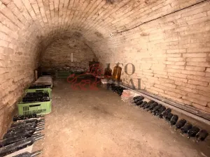 Prodej vinného sklepa, Týnec, Sportovní, 34 m2