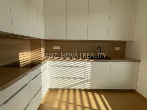 Pronájem bytu 3+kk, České Budějovice, Hálkova, 85 m2