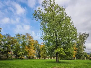 Pronájem komerční nemovitosti, Mirošov, náměstí Míru, 1364 m2