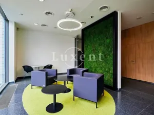 Pronájem kanceláře, Praha, Radlická, 166 m2