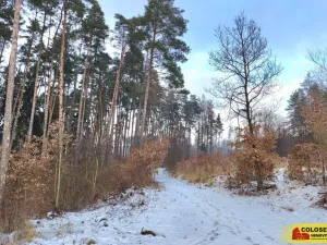 Pronájem bytu 1+1, Blansko, 50 m2