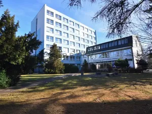 Pronájem kanceláře, České Budějovice, Rudolfovská tř., 31 m2