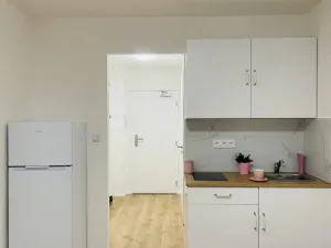 Pronájem bytu 1+kk, Praha - Chodov, Čenětická, 23 m2