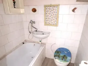 Pronájem bytu 1+1, Most, Josefa Dobrovského, 28 m2