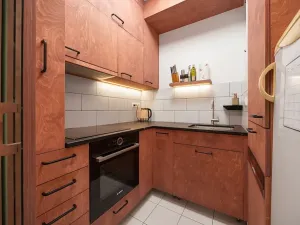 Prodej bytu 1+1, Praha - Žižkov, Baranova, 49 m2