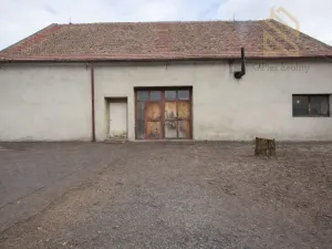 Prodej obchodního prostoru, Veltěže, Perucká, 1326 m2