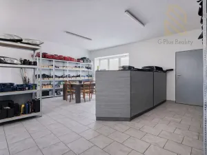 Prodej obchodního prostoru, Veltěže, Perucká, 1326 m2