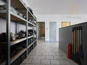 Prodej obchodního prostoru, Veltěže, Perucká, 1326 m2