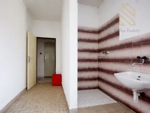 Prodej obchodního prostoru, Veltěže, Perucká, 1326 m2