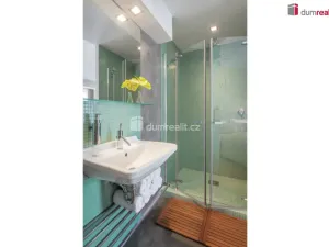 Pronájem bytu 1+kk, Praha - Košíře, Holečkova, 30 m2