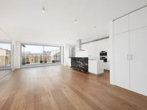 Pronájem bytu 4+kk, Praha - Vinohrady, Laubova, 454 m2