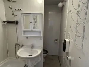 Pronájem bytu 1+kk, Planá, Bohušova, 31 m2