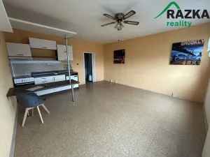 Pronájem bytu 1+kk, Planá, Bohušova, 31 m2