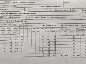 Prodej lesa, Blížejov - Lštění, 6627 m2