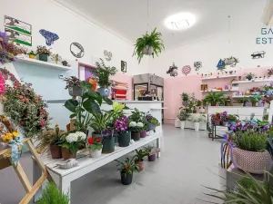 Pronájem obchodního prostoru, Holešov, U Letiště, 55 m2