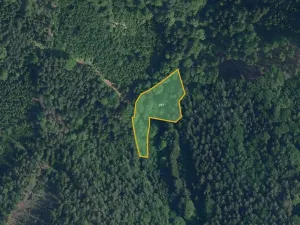 Prodej pole, Jílové u Držkova, 27556 m2