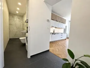 Pronájem bytu 2+kk, Praha - Žižkov, U kněžské louky, 80 m2