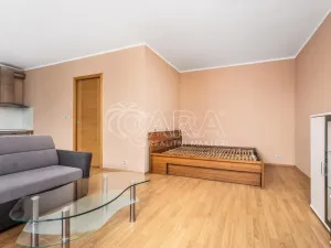 Pronájem bytu 1+kk, Praha, 65 m2