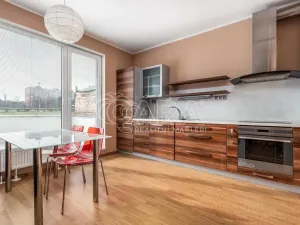 Pronájem bytu 1+kk, Praha, 65 m2