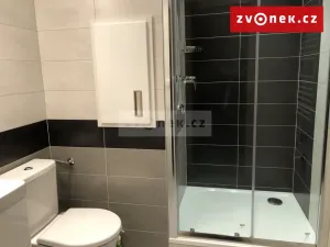 Pronájem bytu 1+1, Zlín, Křiby, 36 m2