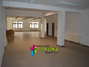 Prodej činžovního domu, České Budějovice - České Budějovice 1, Krajinská, 1563 m2