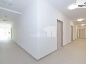 Pronájem bytu 2+kk, Liberec - Liberec II-Nové Město, Papírová, 74 m2