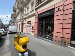 Prodej obchodního prostoru, Praha - Vinohrady, Anglická, 50 m2