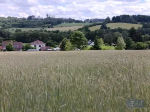 Prodej zemědělského objektu, Pavlov, 2020000 m2