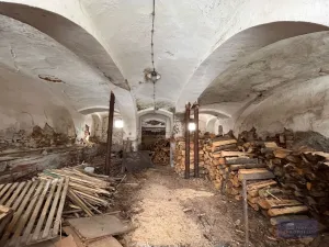 Prodej zemědělského objektu, Pavlov, 2020000 m2
