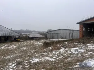 Prodej zemědělského objektu, Pavlov, 2020000 m2