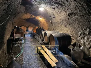 Prodej - jiné, Zaječí, 62 m2