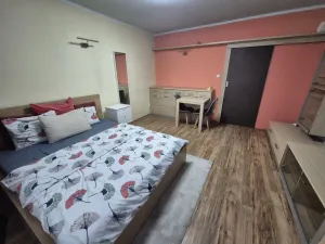 Pronájem bytu 1+kk, Liberec - Liberec XIV-Ruprechtice, Ostravská, 30 m2