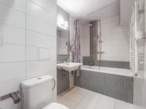 Prodej bytu 2+1, Plzeň, Dlouhá, 62 m2