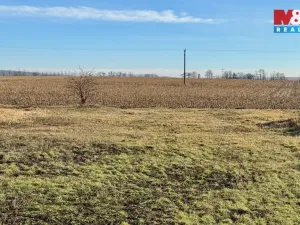 Prodej rodinného domu, Hrušky, 171 m2